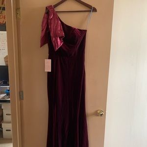 BHLDN Britta Velvet Dress in Burgandy